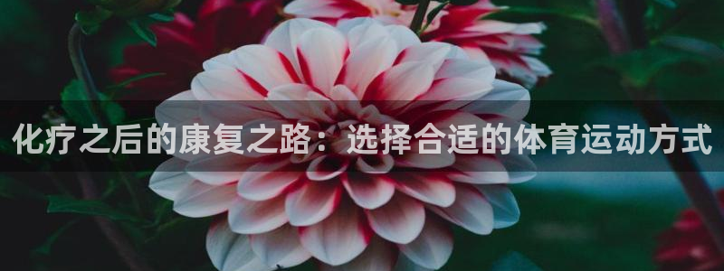 沐鸣2官网