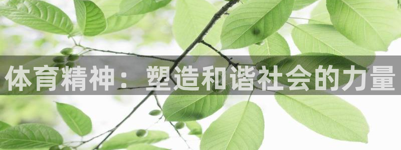 沐鸣22平台注册