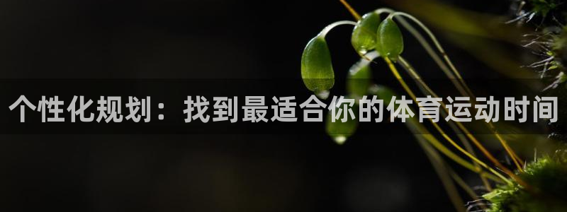 德国沐鸣2集团