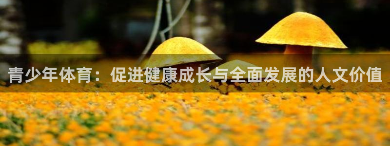 沐鸣2集团总部