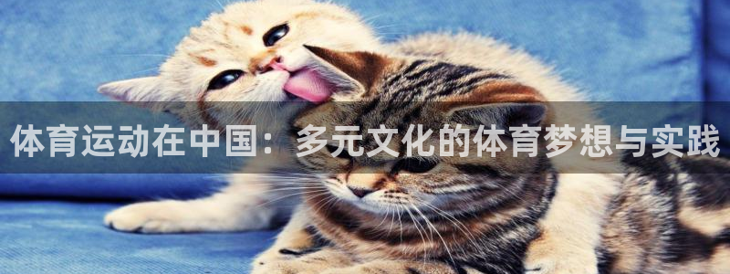 意昂新能源汽车科技有限公司